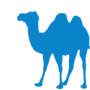 Blue Camel Review